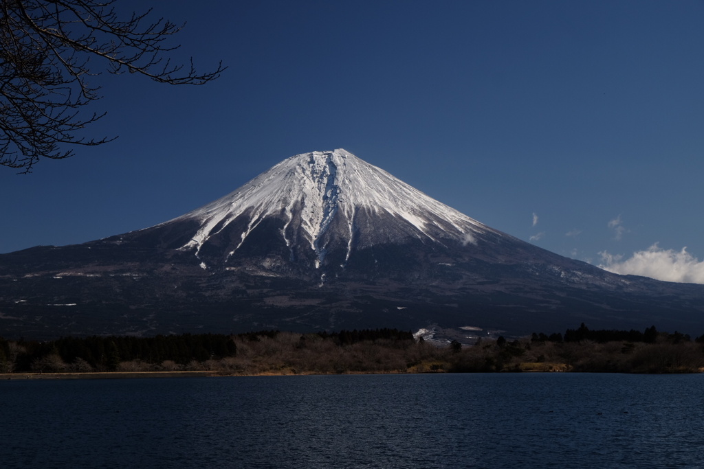 初春　富士山