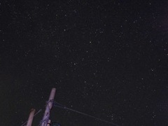 天体観測