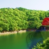 奥多摩