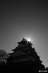 モノクロームな大阪城 4