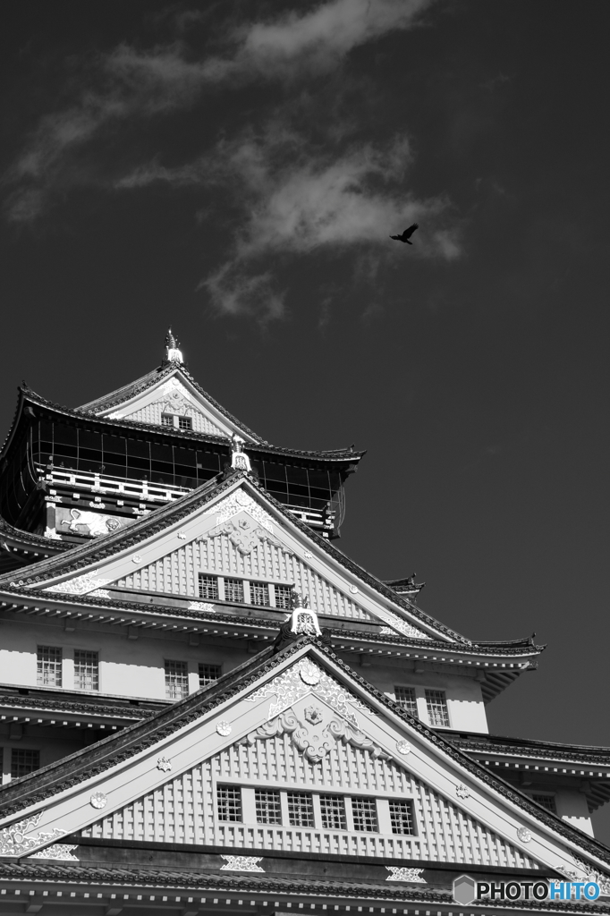 モノクロームな大阪城 3