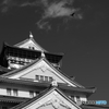 モノクロームな大阪城 3