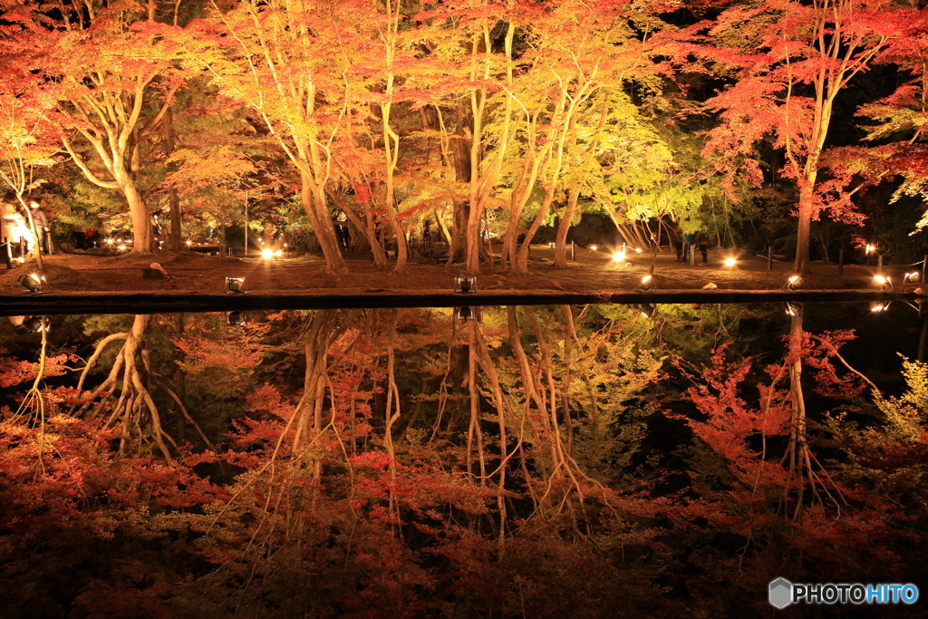 曽木公園　①　191113 