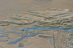 170124 これ何っ！