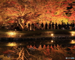 曽木公園　②　191113