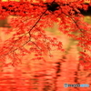 曽木公園　③　191113