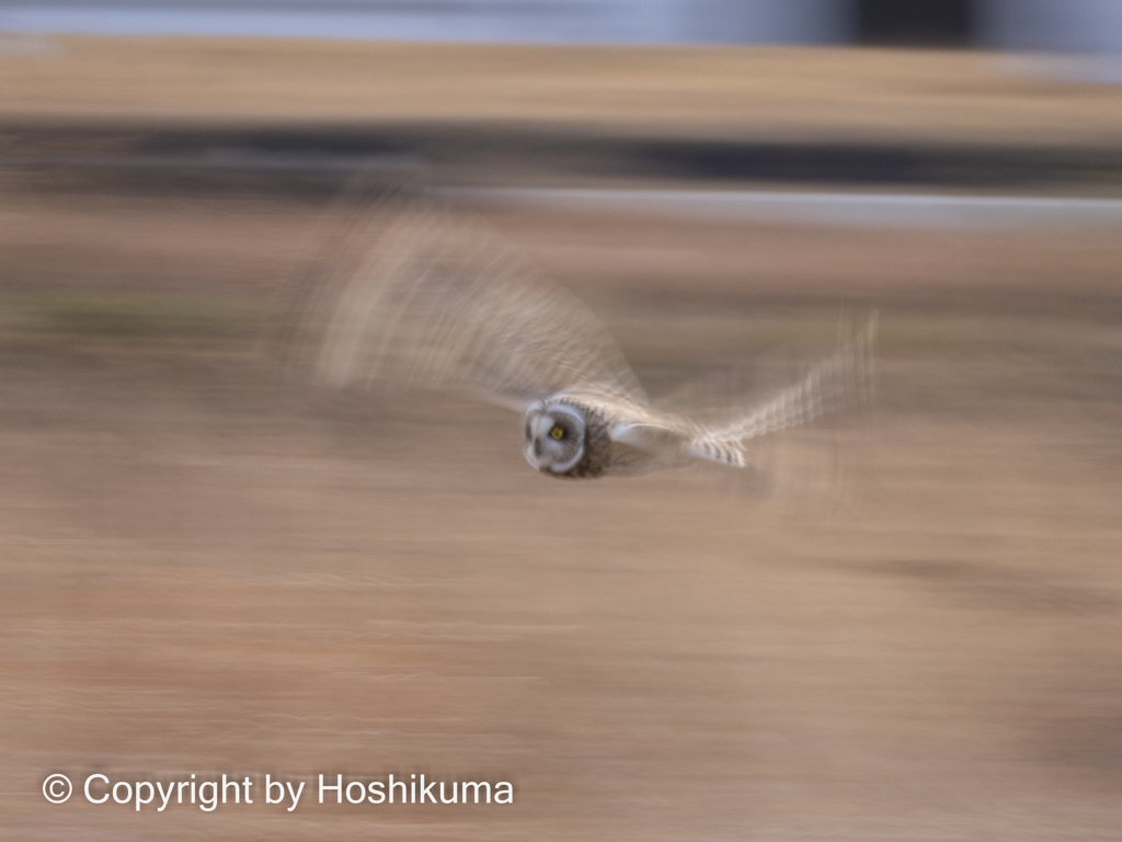 スロー　SS1/15 　②　220214 