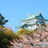 名古屋城　①　200411 