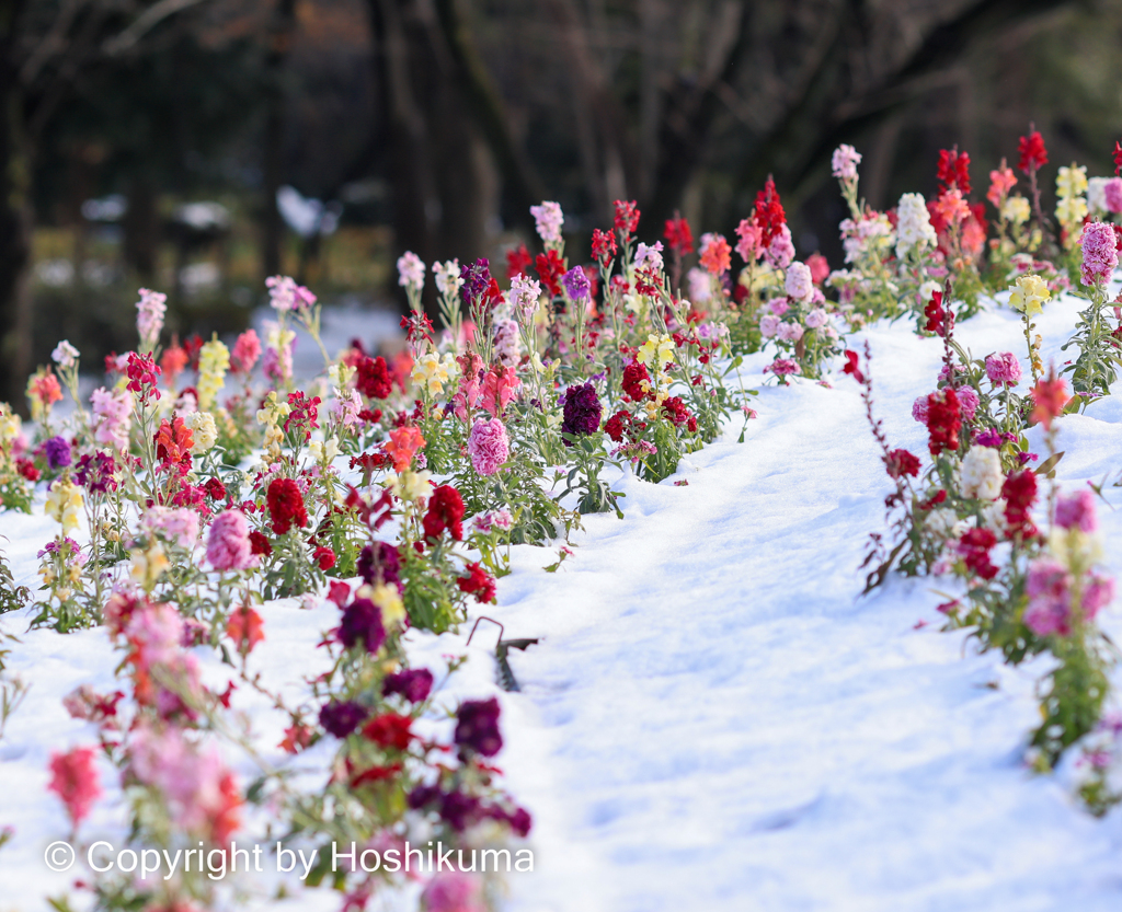 名城公園　②　20221224 