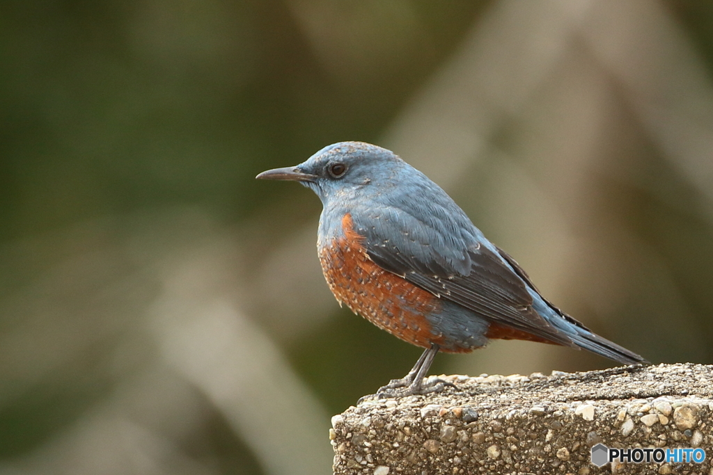 170202 教えて下さい