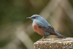 170202 教えて下さい