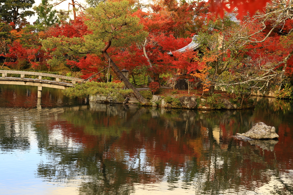 永観堂の紅葉　①　181123