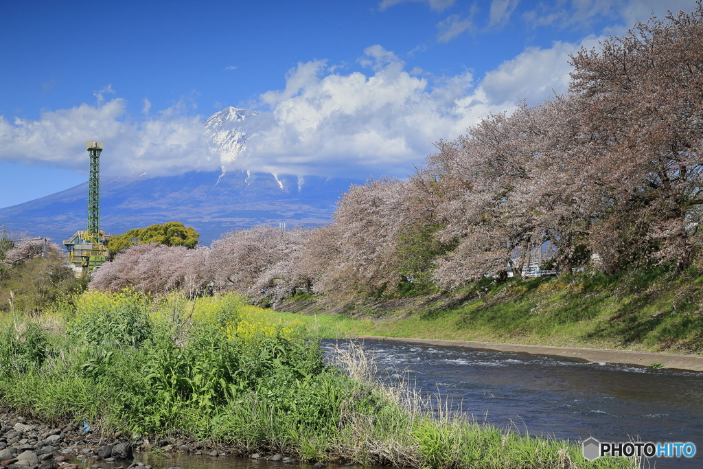 富士山　③　190409