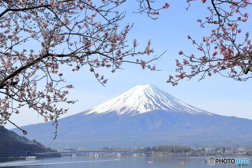 1600409 富士三景　その弐