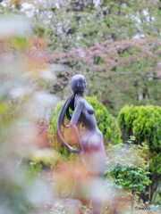 公園の朝　③　210404 