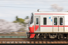 桜と電車　④　220402