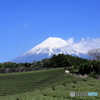 富士山　②　200405