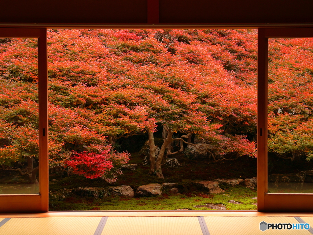大龍寺　①　201110 