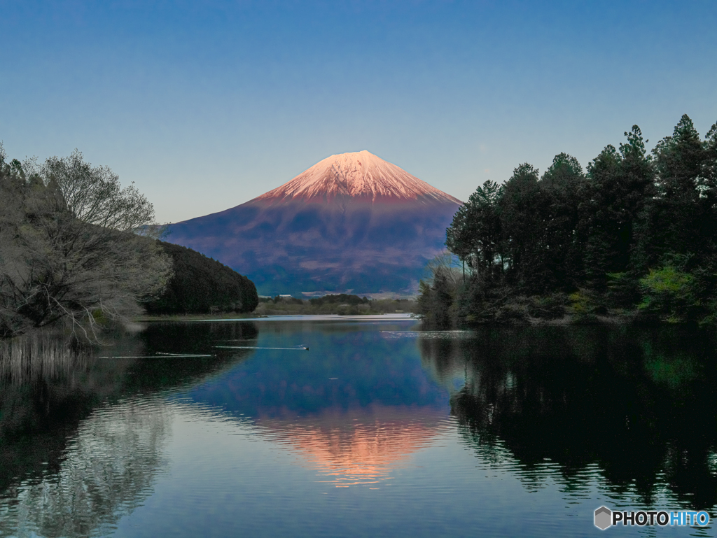 富士山　④　210418