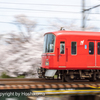 桜と電車　⑤　220402
