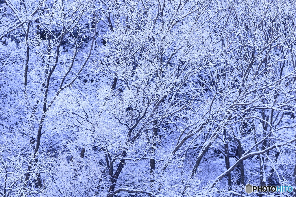 170114 雪景色　弐態