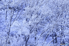 170114 雪景色　弐態