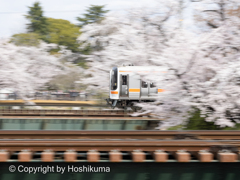 桜と電車　①　220402 