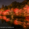 東山植物園　②　20221126 