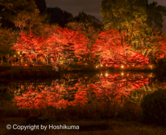 東山植物園　③　20221126 