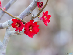 お写んぽ　⑤　210212