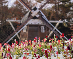 名城公園　①　20221224 