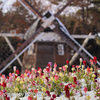 名城公園　①　20221224 