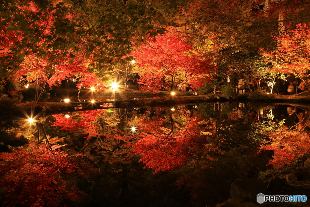 曽木公園　④　191113
