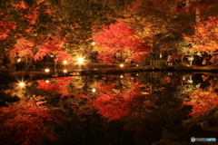 曽木公園　④　191113