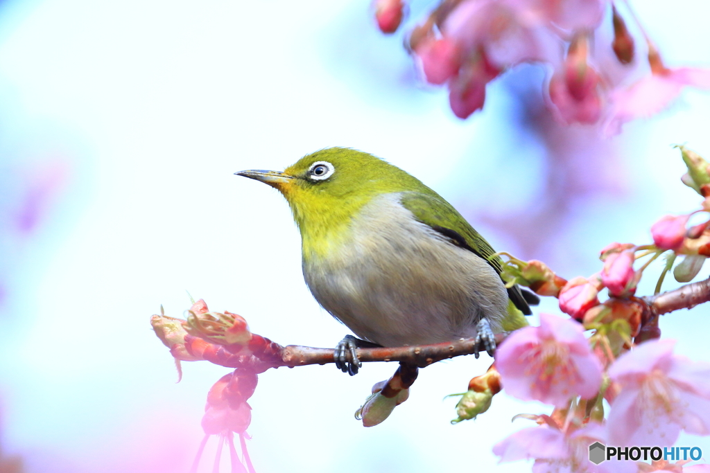 170310 弐態　天を仰ぐ