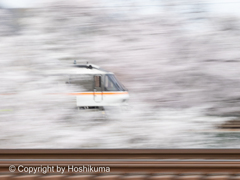 桜と電車　③　220402