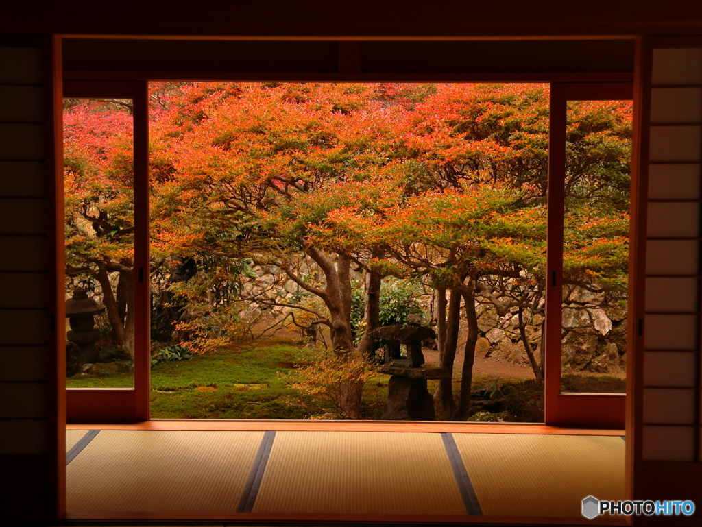 大龍寺　②　201110 