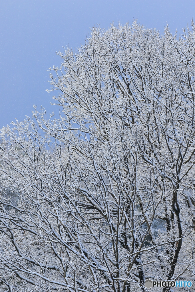 170114 雪景色　弐態
