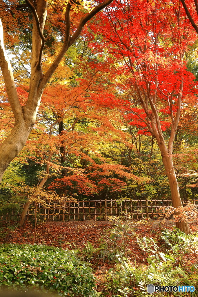 「お気に入りのスポット」　　171128