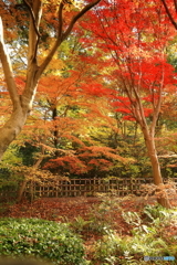 「お気に入りのスポット」　　171128