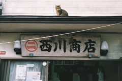 店番