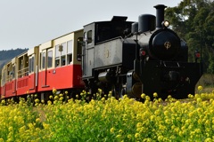 D5M_2038