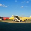 ERJ170 DREAM RED & 175 YELLOW