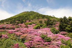 花色の饗宴3