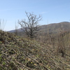 火山灰の化身3