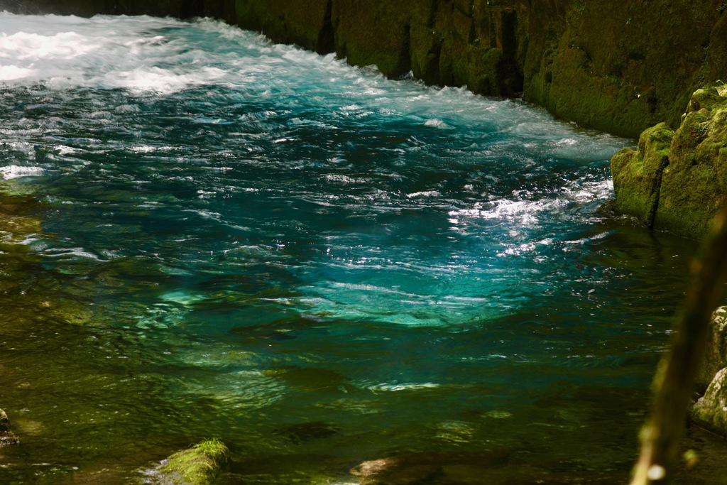 Kikuchi gorge's color ④