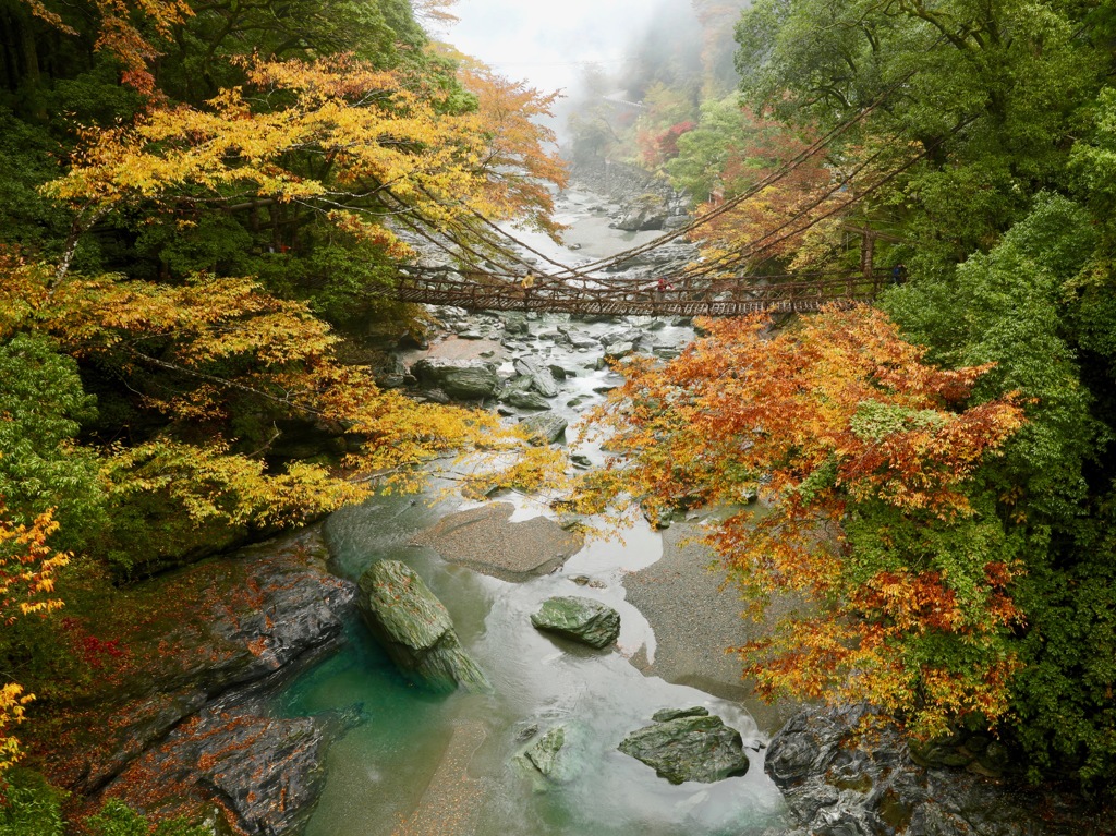 祖谷渓谷の秋の色⑥