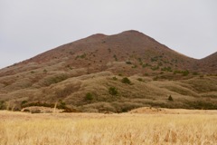 坊がつる初冬の色②