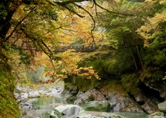 祖谷渓谷の秋の色⑨
