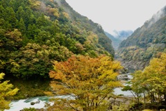 祖谷渓谷の秋の色